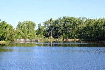 a peaceful view of the lake on a bright sunny day.