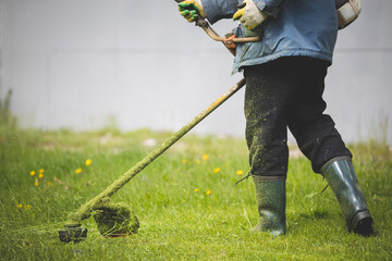 A close-up of a worker in protective clothing, gloves, rubber boots with a gas mower on the front lawn. A man mows grass with dandelions on a warm sunny spring day.