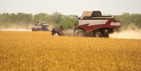 Poster - Combine harvester on the field