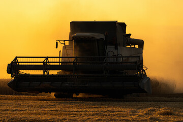 Poster - Combine harvester on the field