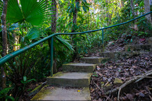 Old Mossy Stone Stairs In Tropical Jungle. Tropical Island Natural Photo. Treking Or Hiking Adventure In Jungle Forest. Rustic Steps Up To Wild Nature. Outdoor Exploration. Summer Vacation In Asia