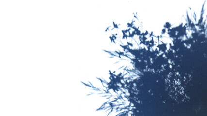 Wall Mural - Tree shadows on the wall, sunlight. Abstract bokeh background. Classic blue bokeh background.