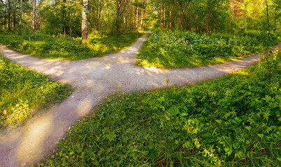 Wall Mural - Pedestrian alleys cross in the park in the summer in sunny weather