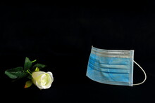 A Color Image Of A Surgical Mask Used To Combat The Covid 19 Virus And A White Rose To Remember Those That Have  Been Lost.