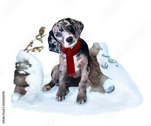 Cuadros en Lienzo Cucciolo di cane seduto sulla neve mentre osserva un pettirosso