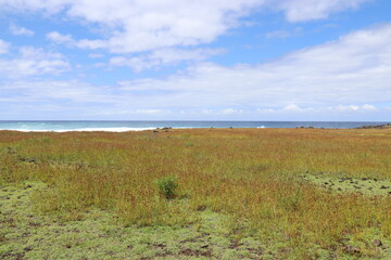 Poster - Prairie à l'île de Pâques