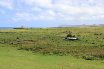 Poster - Prairie à l'île de Pâques