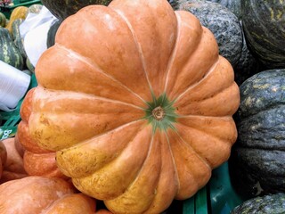 pumpkin on the ground