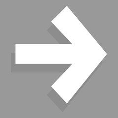 Fototapete - Arrow icon isolated on gray background. Trendy arrow icon in flat style for web site. Creative white arrow left direction. Template for app and ui. Vector illustration