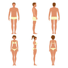 Wall Mural - Male and female anatomy human character, people dummy front and view side body silhouette, isolated on white, flat vector illustration.