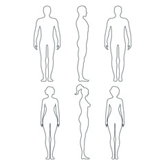 Male and female anatomy human character, people dummy front and view side body silhouette, isolated on white, flat vector illustration.