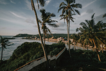 tropical beach with coconut trees