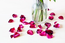 Fallen Petals Of Red Rose Flower Near Glass Vase On Pale Brown Table