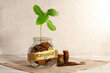 © наталья саксонова - Recycle. Glass jar with coins and a plant on the table and several coins nearby. The concept of finance and investment.