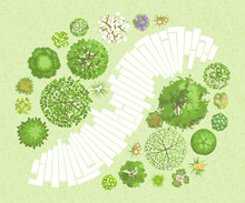 Vector Illustration. Landscape Design. Top View. Path, Trees And Flowers. View From Above.