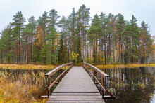 Wooden Bridge To Forest On Island In Finland