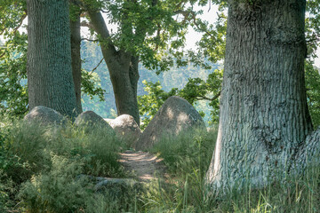 Wall Mural - The prehistoric stones and megalith monuments at Lancken Granitz