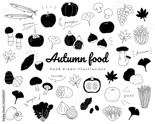 秋の味覚の手書きのイラストのセット 食欲の秋 シンプル おしゃれ Comprar Este Vector De Stock Y Explorar Vectores Similares En Adobe Stock Adobe Stock