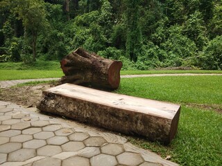 wooden bench in the park