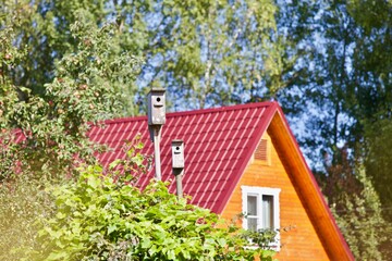 Wall Mural - Cozy house among green trees in the village on sunny spring day. Countryside lifestyle concept. Life in the village. Birdhouses in the green garden in front of the village house on a bright sunny day.