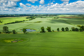 Wall Mural - stunning green field in sunny day, aerial view