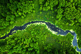 Fototapeta Natura - Beautiful blooming algae on the river in spring, aerial view