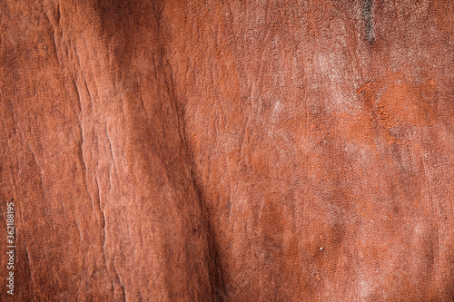Fotografía Weathered ,old, tanning leather with ruff texture