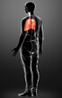 © pixdesign123 - 3d rendered, medically accurate illustration of a male lung anatomy