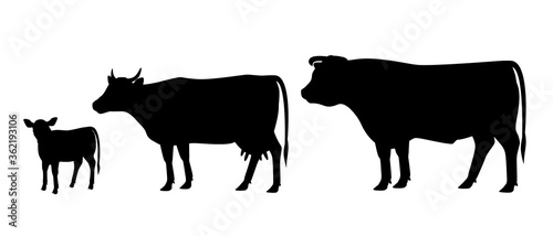 Cuadros en Lienzo Vector illustration of bull, cow and calf