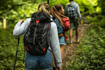 Wall Mural - group of friends hiking together in nature.they walking on old path.rear view.