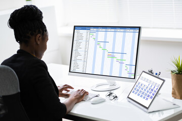 Poster - Digital Gantt Chart, Time Sheets