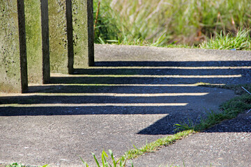 Wall Mural - Shadow
