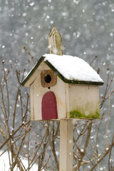 Wall Mural - a birdhouse on a post in a garden during a snow storm in Salem Oregon.