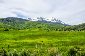 carbondale, usa grass ranch fence view of snow on mt sopris in colorado with rocky mountain peak and