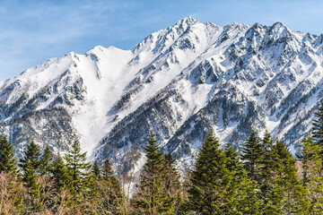 Wall Mural - Takayama, Japan view from Shinhotaka Ropeway in Gifu Prefecture mountain park on spring day with green pine trees forest and peak