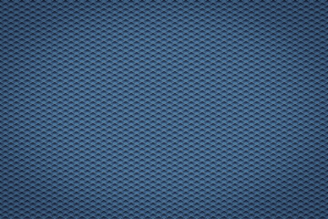 Poster - Texture of scales. Scale illustration.
