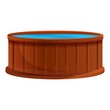 Jacuzzi icon. Cartoon of jacuzzi vector icon for web design isolated on white background
