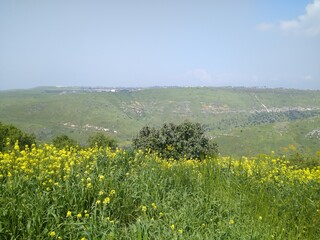 Beautiful view of the Golan Heights in Israel, panorama.