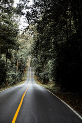 highway in the Thailand Jungle