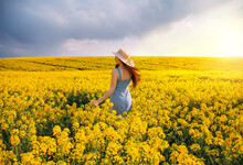 Young Woman Walking Flowering Field, Turned Away, Gently Touch Yellow Flowers. Brunette Girl Enjoys Spring Aromas, Harmony. Backdrop Dark Clouds Blue Sky. Long Hair Fluttering Wind. Denim Sundress Hat