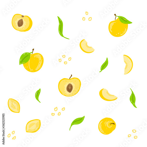 Fotomural Yellow plum vector illustration set
