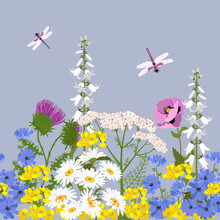 Seamless Horizontal Border With Summer Meadow Plants And Insects.