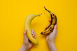 © Bostan Natalia - Human hands holding two bananas: fresh and ripe, on bright yellow background.
