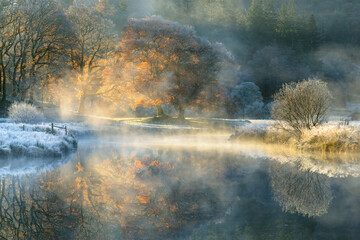 Wall Mural - peaceful misty morning at the river brathay in the english lake district national park with autumn c