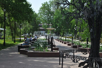 Wall Mural - bench in the park