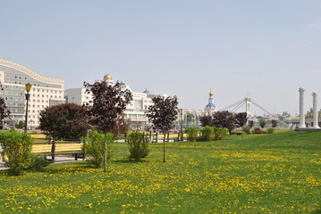 Wall Mural - park in the city