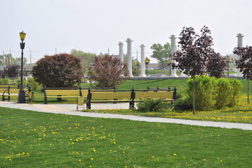 Wall Mural - park in spring