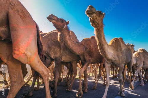 Fotografía Morocco main attractions