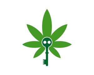 Canvas Print - Cannabis and green key