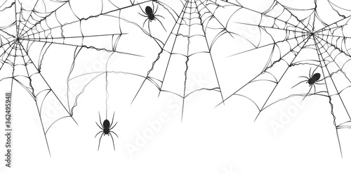 Cuadros en Lienzo Halloween spiderweb border with spiders